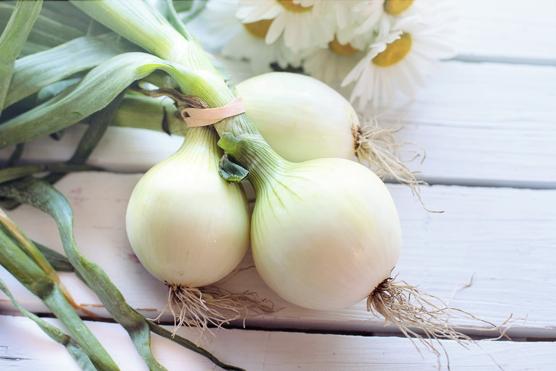 Top 10 Health Benefits of Onions 4